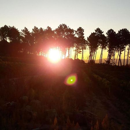 Domaine Des Hauts De Vernon Vernon  外观 照片