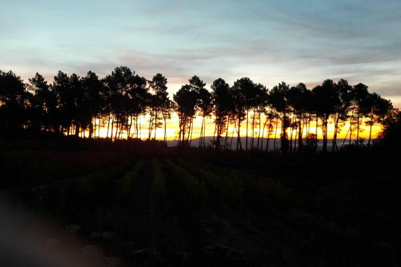 Domaine Des Hauts De Vernon Vernon  外观 照片