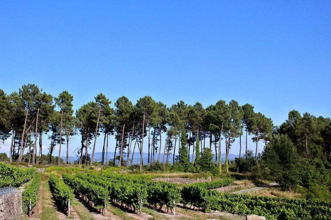 Domaine Des Hauts De Vernon Vernon  外观 照片